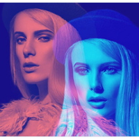 webtrickshome community member